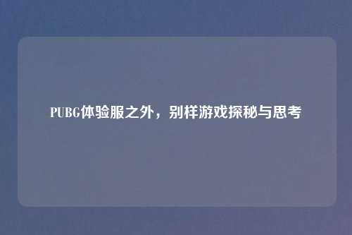 PUBG体验服之外，别样游戏探秘与思考