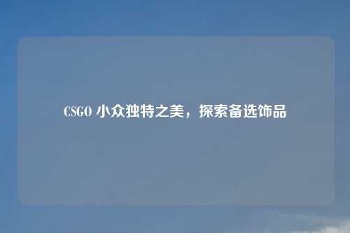 CSGO 小众独特之美，探索备选饰品