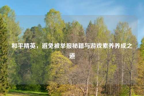和平精英，避免被举报秘籍与游戏素养养成之道