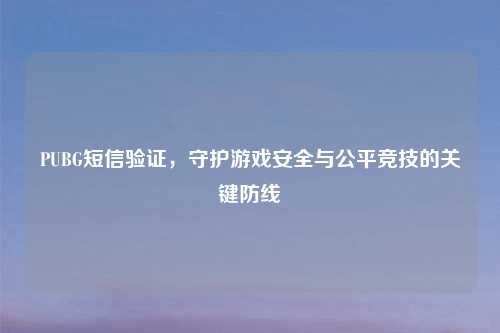 PUBG短信验证，守护游戏安全与公平竞技的关键防线