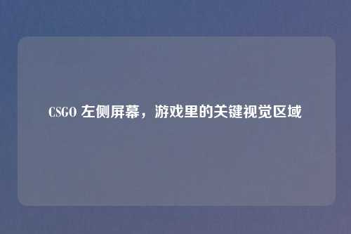 CSGO 左侧屏幕，游戏里的关键视觉区域