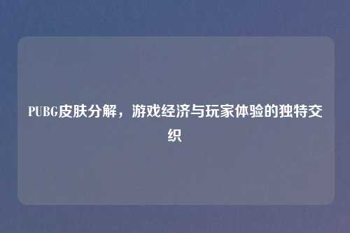 PUBG皮肤分解,游戏经济与玩家体验的独特交织