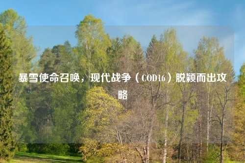 暴雪使命召唤，现代战争（COD16）脱颖而出攻略