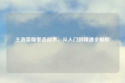 王者荣耀拳击战术，从入门到精通全解析