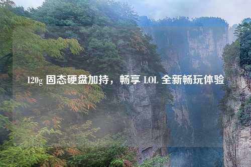 120g 固态硬盘加持，畅享 LOL 全新畅玩体验