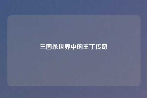 三国杀世界中的王丁传奇