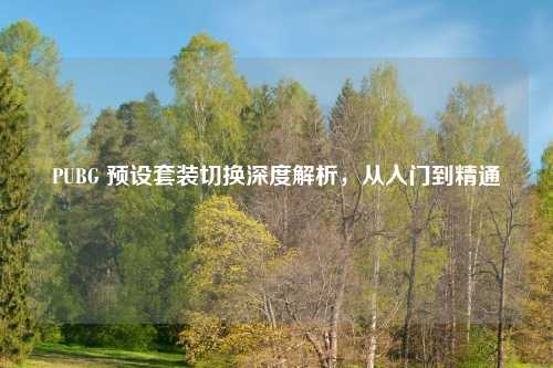 PUBG 预设套装切换深度解析,从入门到精通