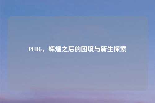 PUBG，辉煌之后的困境与新生探索