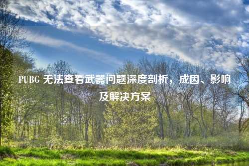 PUBG 无法查看武器问题深度剖析，成因、影响及解决方案
