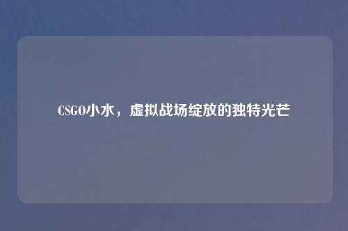 CSGO小水,虚拟战场绽放的独特光芒