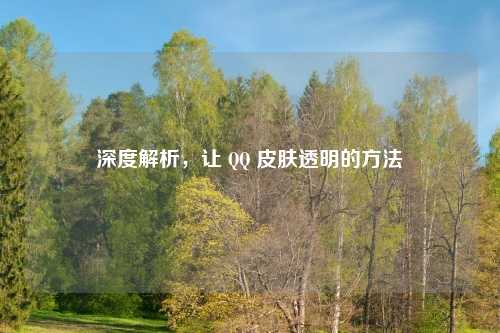深度解析，让 QQ 皮肤透明的方法