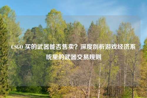 CSGO 买的武器能否售卖？深度剖析游戏经济系统里的武器交易规则
