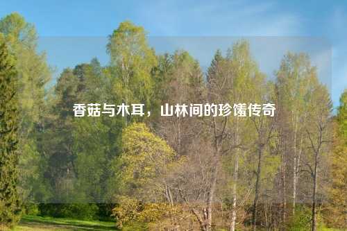 香菇与木耳,山林间的珍馐传奇