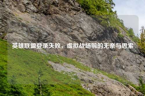 英雄联盟登录失败，虚拟战场前的无奈与思索