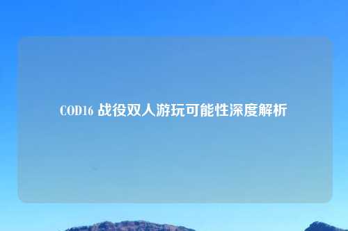 COD16 战役双人游玩可能性深度解析