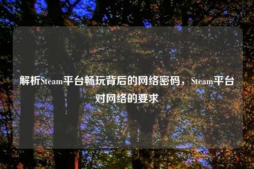 解析Steam平台畅玩背后的网络密码，Steam平台对网络的要求