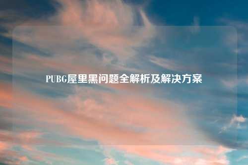 PUBG屋里黑问题全解析及解决方案