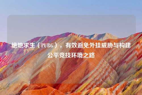 绝地求生（PUBG），有效避免外挂威胁与构建公平竞技环境之路