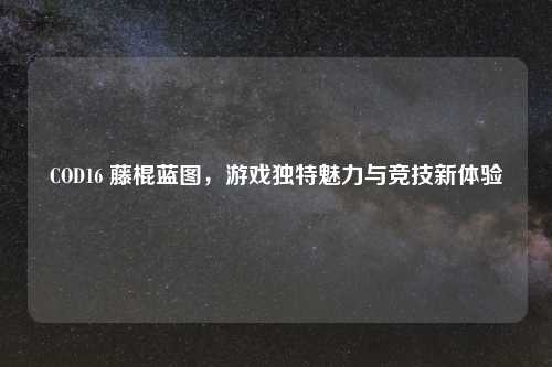 COD16 藤棍蓝图，游戏独特魅力与竞技新体验