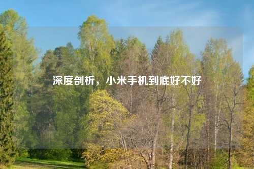 深度剖析，小米手机到底好不好