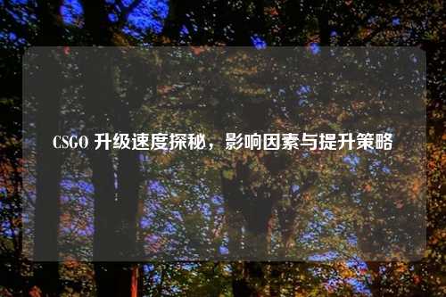 CSGO 升级速度探秘，影响因素与提升策略