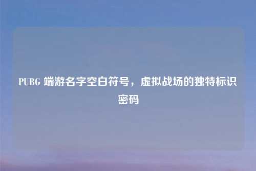 PUBG 端游名字空白符号，虚拟战场的独特标识密码