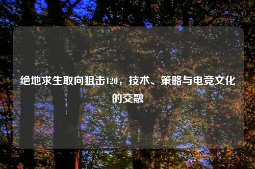 绝地求生取向狙击120，技术、策略与电竞文化的交融