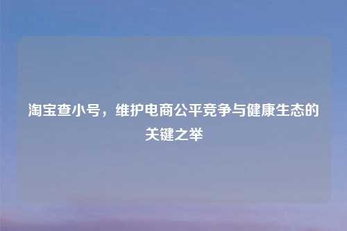 淘宝查小号，维护电商公平竞争与健康生态的关键之举