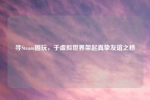 寻Steam固玩，于虚拟世界架起真挚友谊之桥