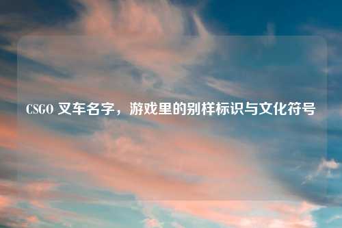 CSGO 叉车名字，游戏里的别样标识与文化符号