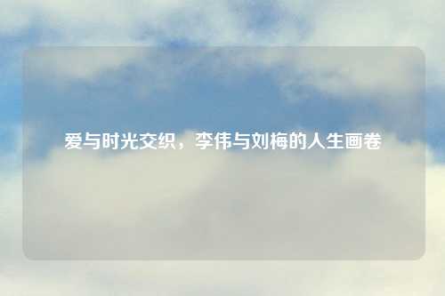 爱与时光交织，李伟与刘梅的人生画卷