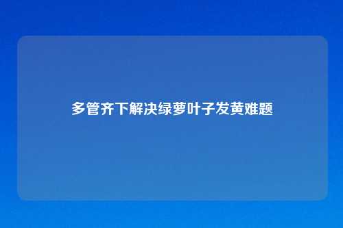 多管齐下解决绿萝叶子发黄难题