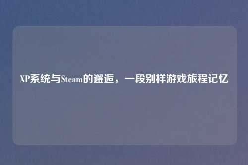 XP系统与Steam的邂逅，一段别样游戏旅程记忆