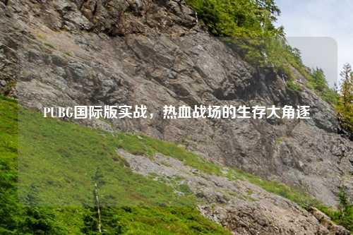 PUBG国际版实战，热血战场的生存大角逐