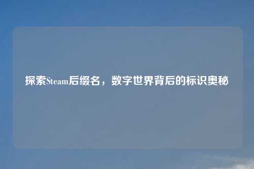 探索Steam后缀名，数字世界背后的标识奥秘