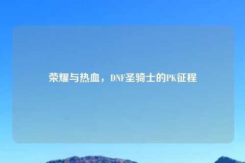 荣耀与热血，DNF圣骑士的PK征程