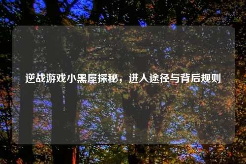 逆战游戏小黑屋探秘，进入途径与背后规则