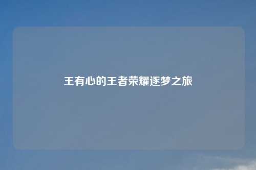 王有心的王者荣耀逐梦之旅