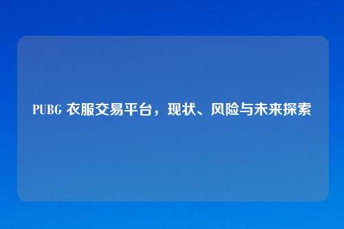 PUBG 衣服交易平台，现状、风险与未来探索