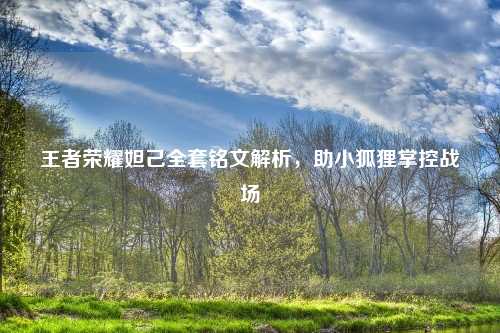 王者荣耀妲己全套铭文解析,助小狐狸掌控战场
