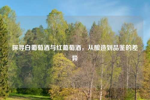 探寻白葡萄酒与红葡萄酒，从酿造到品鉴的差异