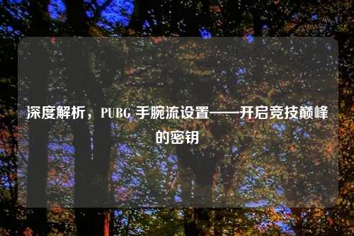 深度解析，PUBG 手腕流设置——开启竞技巅峰的密钥