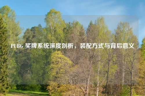 PUBG 奖牌系统深度剖析，装配方式与背后意义
