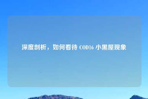 深度剖析，如何看待 COD16 小黑屋现象