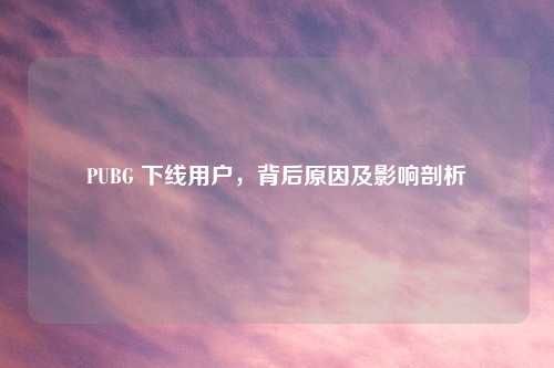 PUBG 下线用户，背后原因及影响剖析