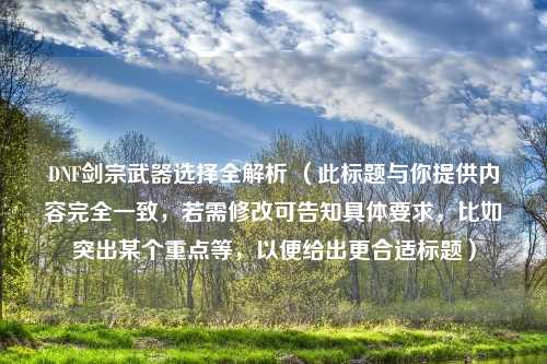 DNF剑宗武器选择全解析 （此标题与你提供内容完全一致，若需修改可告知具体要求，比如突出某个重点等，以便给出更合适标题）