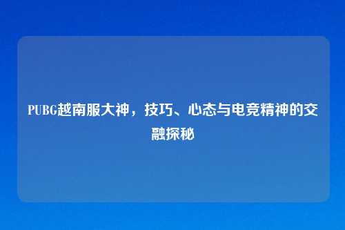 PUBG越南服大神，技巧、心态与电竞精神的交融探秘