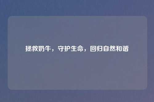 拯救奶牛,守护生命,回归自然和谐