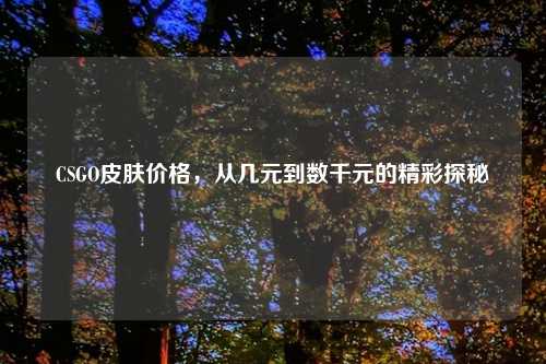 CSGO皮肤价格，从几元到数千元的精彩探秘