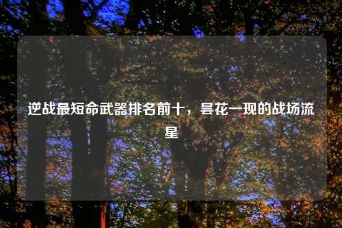 逆战最短命武器排名前十，昙花一现的战场流星
